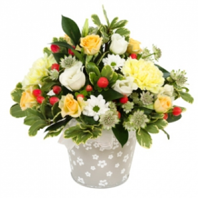 A New Day - Flowers to put a smile on their face. Let them know that you’re thinking of them with this fun petite collection of flowers and foliage to send same day. Crafted by local artisan florists, only the finest buds and leaves are selected, ensuring the flowers stay fresher for longer.
