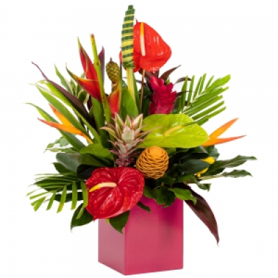 Tropical Wishes - Create a special moment with an unforgettable gift. This stunning collection of tropical flowers and foliage could be the show-stopping gift you're looking for! 
